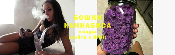 сатива Медногорск